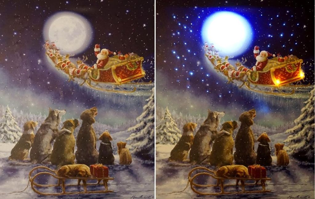 Kopie von LED Bild Hunde mit Mond LEDs + Glasfaser Batteriebetrieb 30 x 40 cm