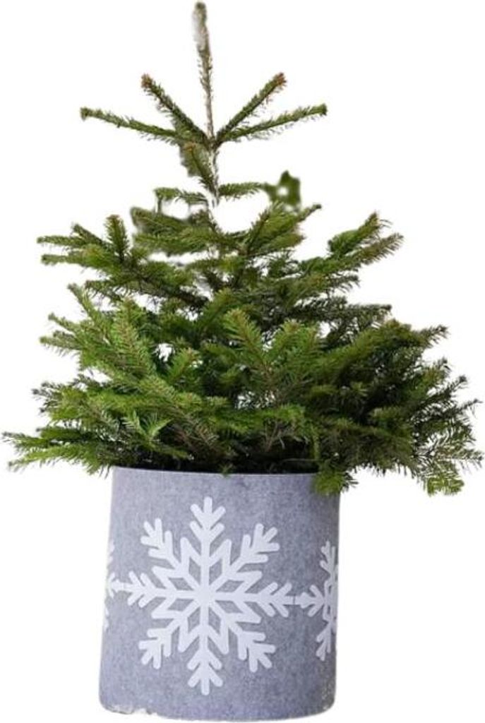 Windhager Filz-Topfschutz Schneeflocke L grau/weiß, 161 x 40 cm, 3 mm, 07726