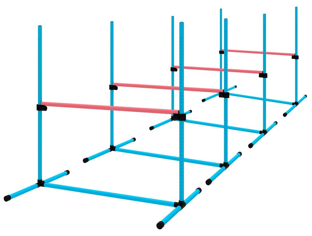 PawHut Agility Set voor honden, 4-delig, verstelbare Productafbeelding 