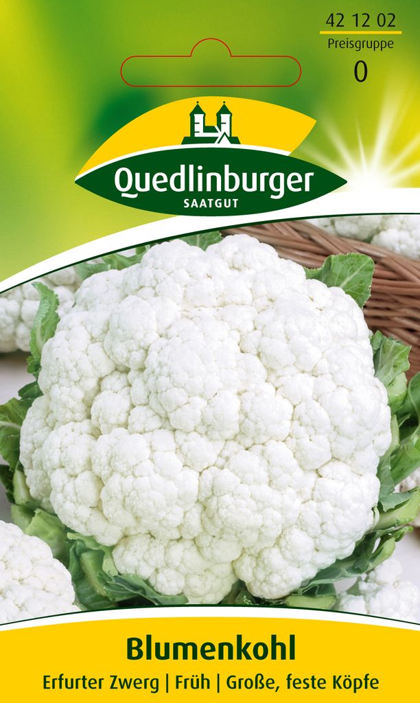 Blumenkohl, Erfurter Zwerg Produktbild 