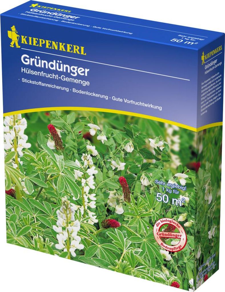 Kiepenkerl Gründünger Hülsenfrucht- ca. 50 qm Produktbild 