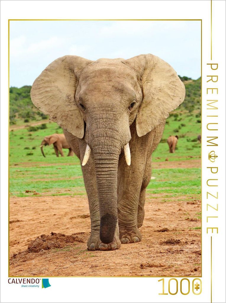 CALVENDO Puzzle Elefant | 1000 Teile Lege-Größe 64x48cm Foto-Puzzle für glückliche Stunden