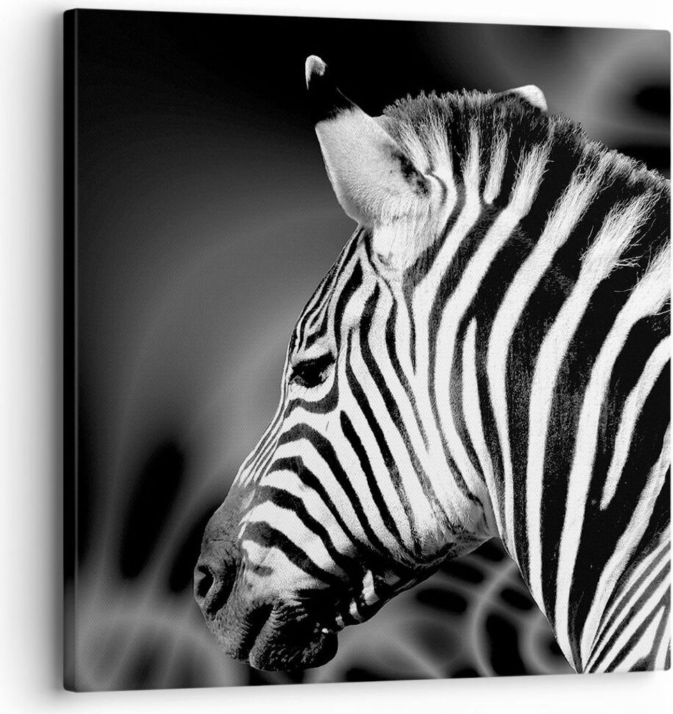 Bild auf Leinwand - Leinwandbild - Tier Zebra Streifen - 30x30cm - Wand Bild - Wanddeko - Wandbilder - Leinwanddruck - Bilder - Kunstdruck - Wandde...