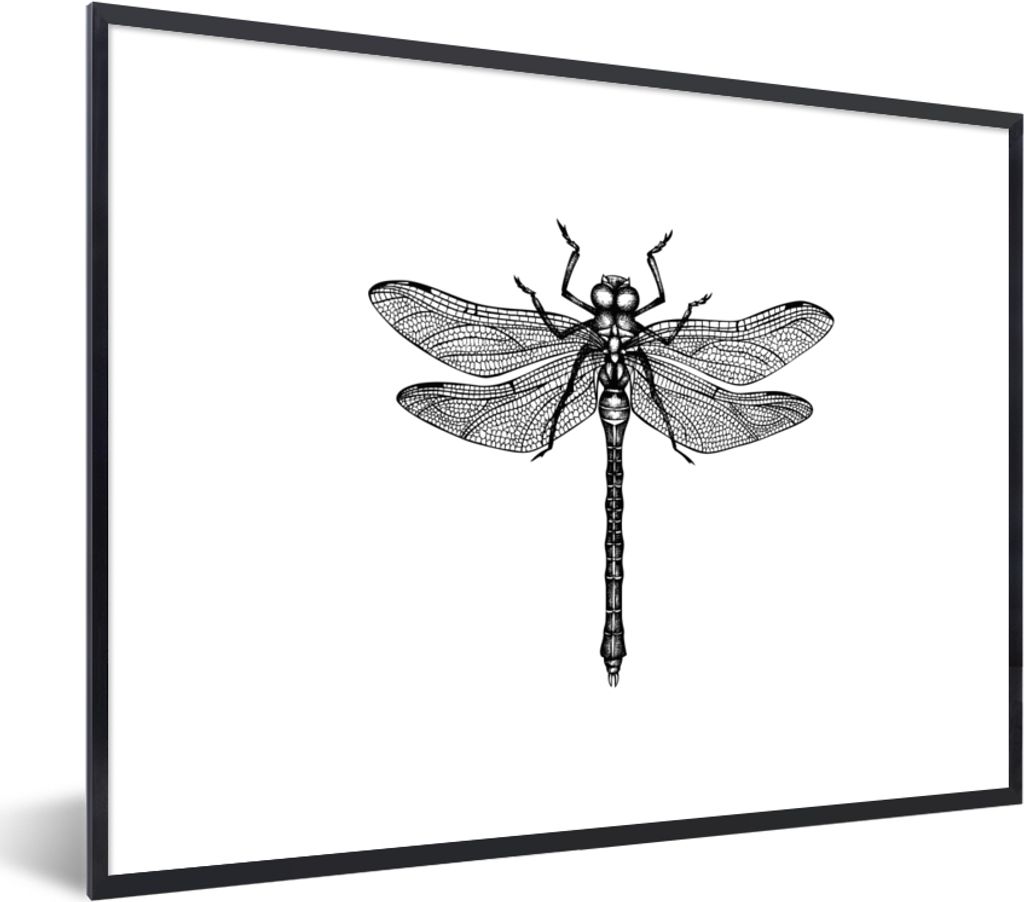 MuchoWow Gerahmtes Poster Libelle - Insekten - Retro - Schwarz und weiß 80x60 cm - Poster mit Schwarzem Bilderrahmen Wandposter Rahmen Foto Bild...