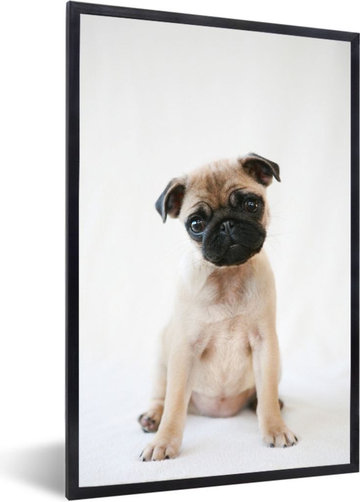 MuchoWow Gerahmtes Poster Hund - Haustiere - Porträt 40x60 cm - Poster mit Schwarzem Bilderrahmen Wandposter Rahmen Foto Bilder - Papierdruck - ...