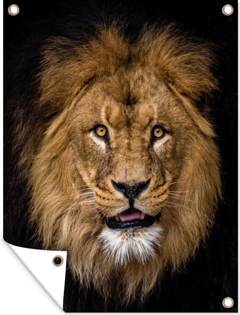 MuchoWow 30x40 cm Outdoor-Poster Gartendeko Sichtschutz Garten Poster für den Garten Löwe - Porträt - Schwarz - Tiere
