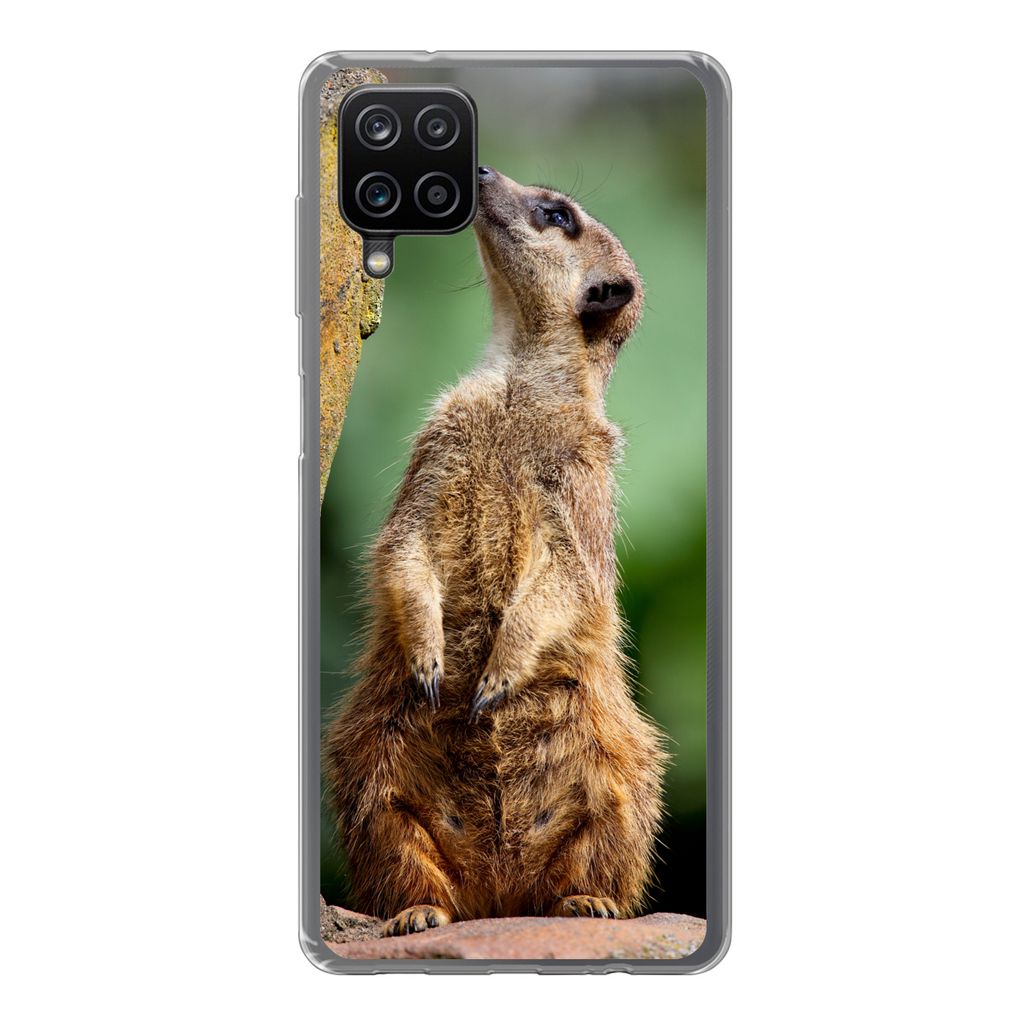 MuchoWow Handyhülle Schutzhülle Hülle für Samsung Galaxy A12 Erdmännchen - Tier - Rock Silikon Softcase Handy Hülle - Bild