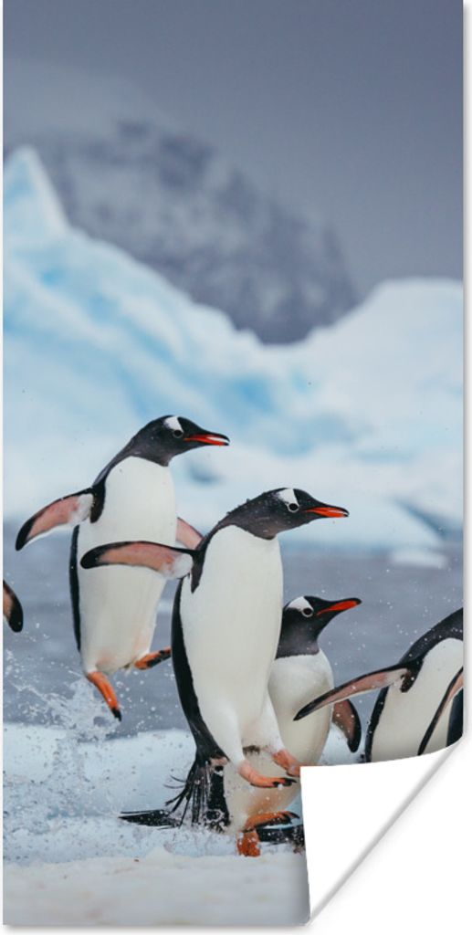 MuchoWow Poster Pinguine springen aus dem Wasser 20x40 cm - Plakat - Foto