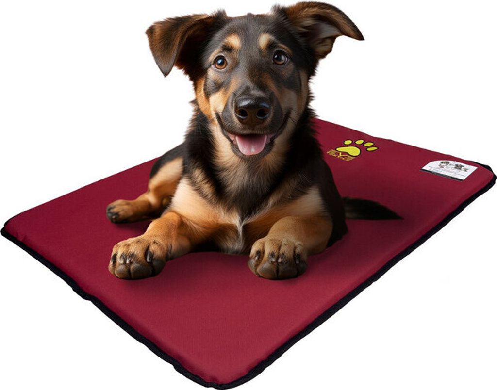 EVE Textile Hundematte Katzenmatte 50x70x2 cm Rot Hundebett Katzenbett Haustiermatte Beidseitig Verwendbar Atmungsaktiv Kühlend Wendbar Leicht