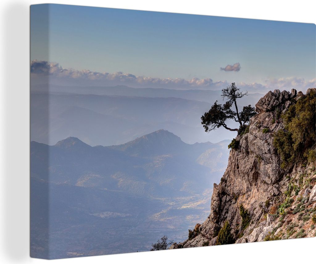 OneMillionCanvasses - Leinwandbilder - 150x100 cm, Ein Baum aus italienischem Fels, Wandbilder Kunstdruck Wanddekoration