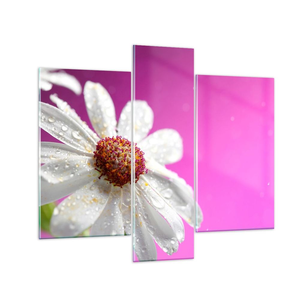 Bilder auf glas - Blume frühling garten - 95x80cm - Glasbilder - Wandbilder - Kunstdruck - zum Aufhängen bereit - Wanddekoration aus Glas - Glas ...