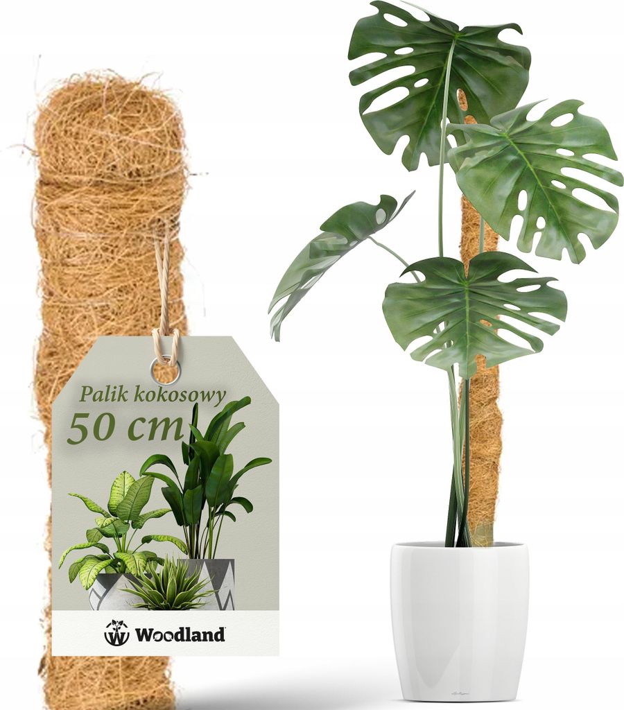 Kokosnusspfahl, 50 cm, Stütze für Monstera-Blumenpflanzen, dick, 32 mm Durchmesser.