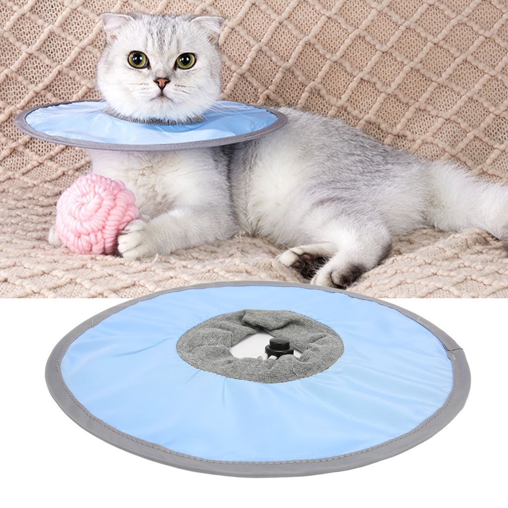 Collier de protection pour chats, étanche et réglable - Image du produit 