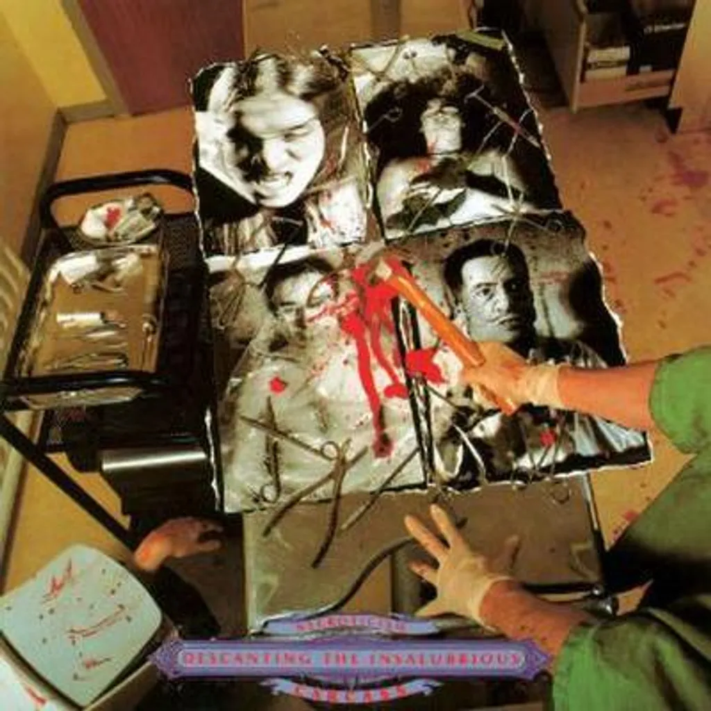 Album Necroticism Descanting the Insalubrious FDR pour Platine Vinyle