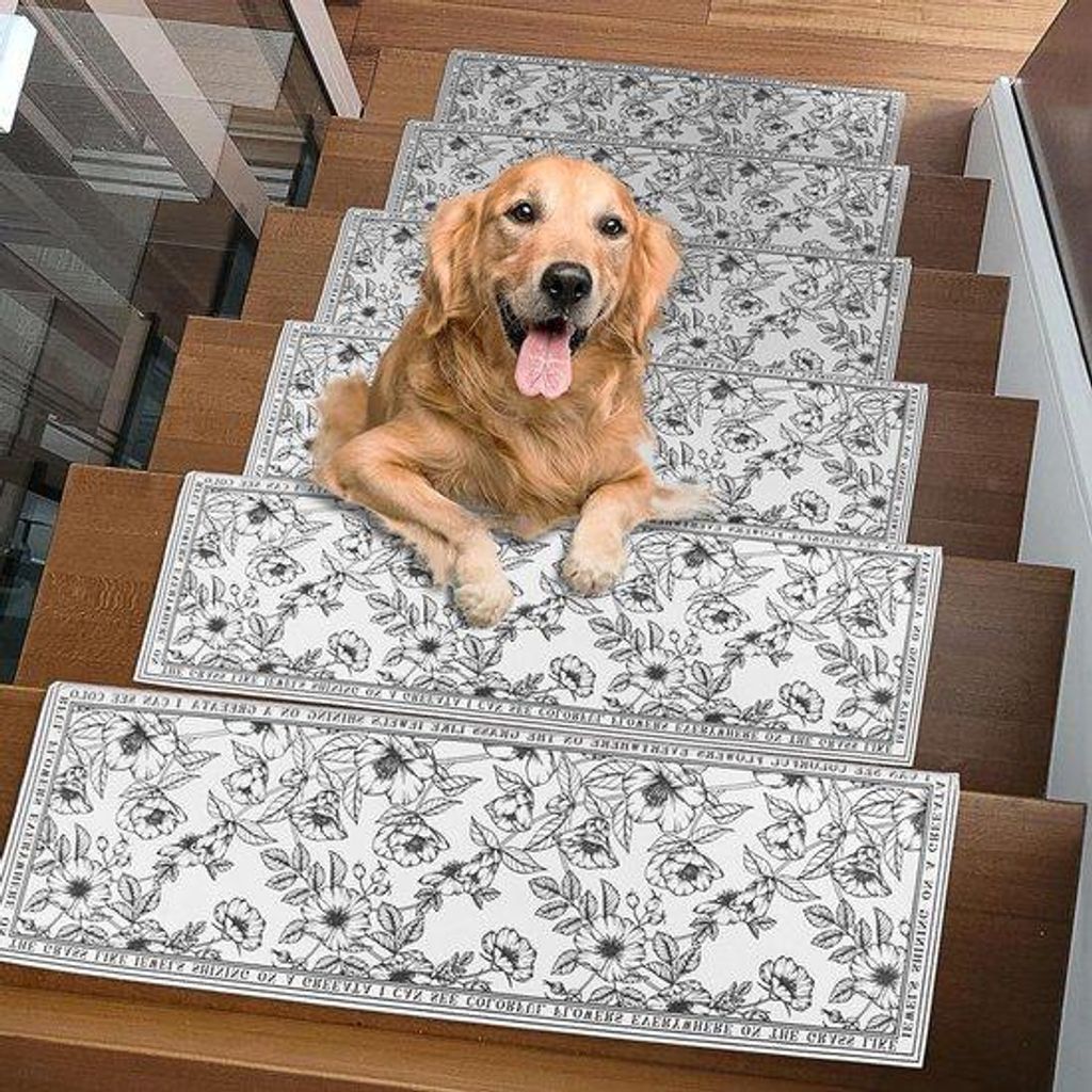 Diatomeeëntapijt für Hunde und Katzen - Antislip - Kinder- und Seniorfreundlich - Sicherheit - Traptreppen Tapijt.