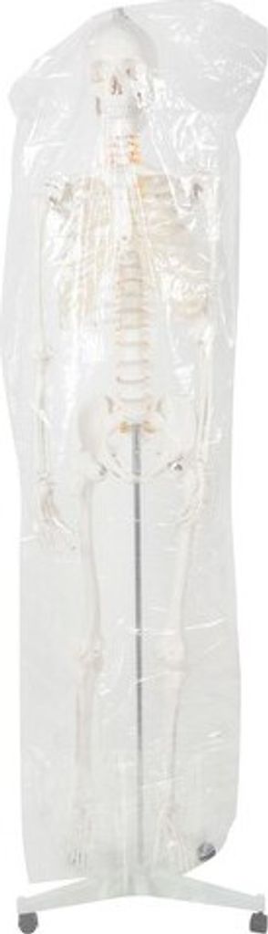 Menschliches Skelett - 170cm Malatec 22583 Produktbild 17
