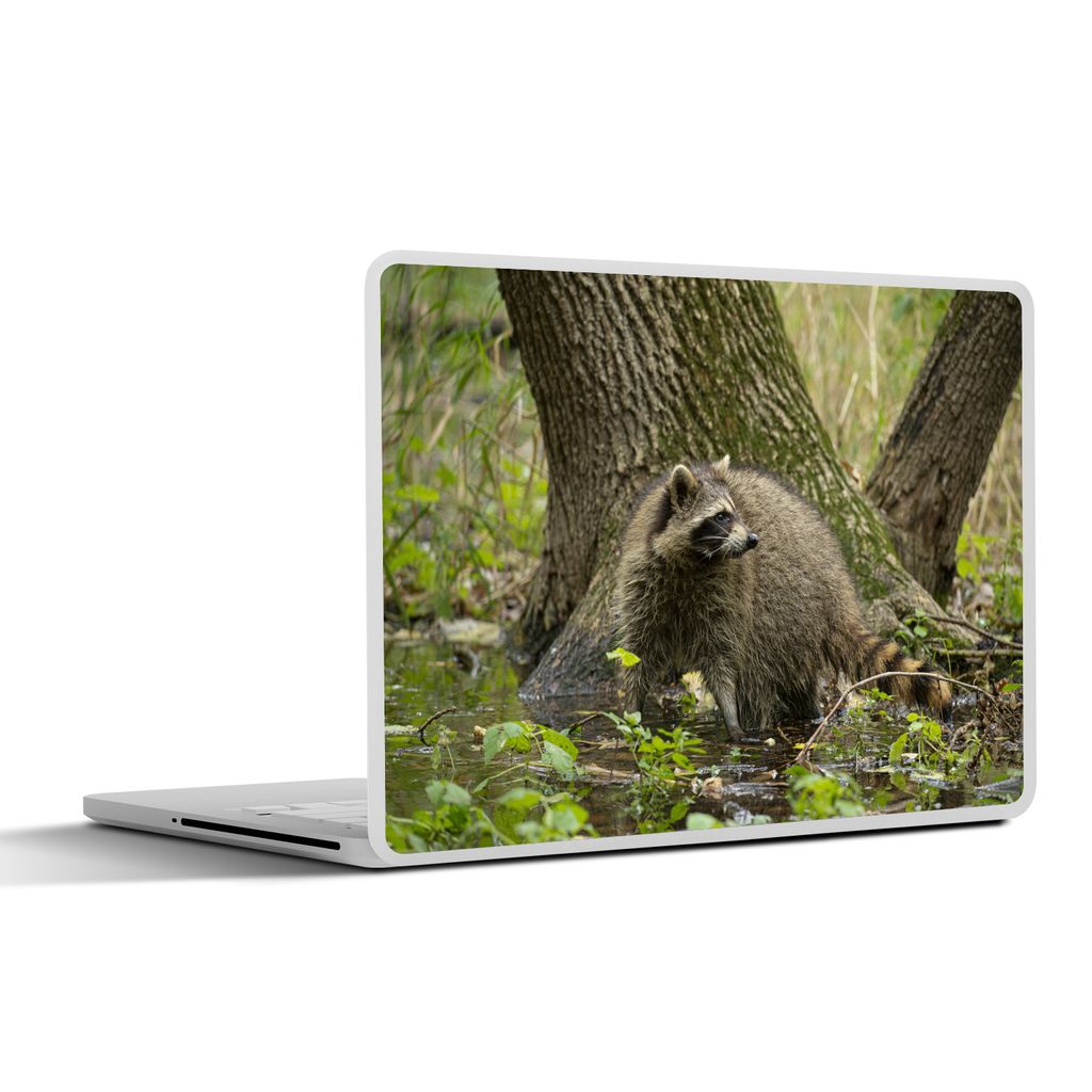 MuchoWow Laptop Aufkleber Sticker Cover Waschbär - Wasser - Wald 36.5x27.5 cm - Laptop-Sticker