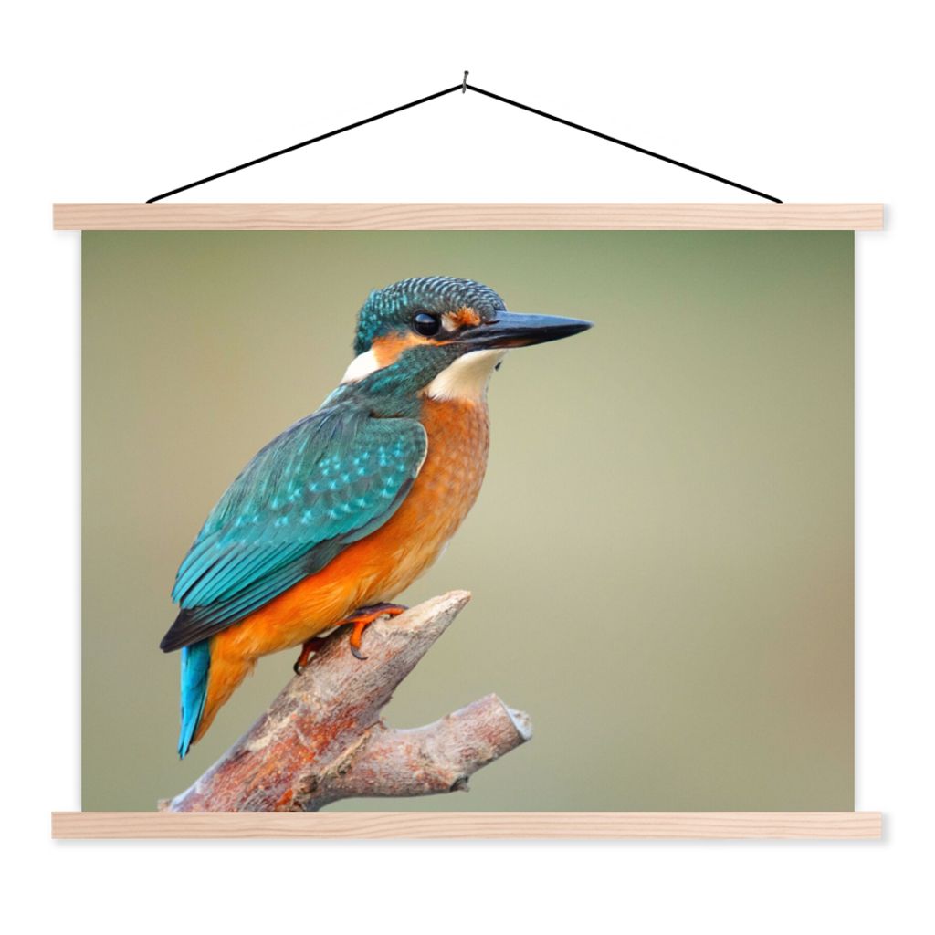 MuchoWow Textilposter Vogel - Eisvogel - Zweig 60x45 cm mit holzfarbenen Rahmen - Bild