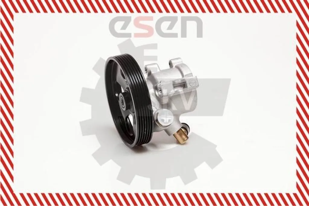 Pompe de direction assistée hydraulique robuste pour Peugeot 406