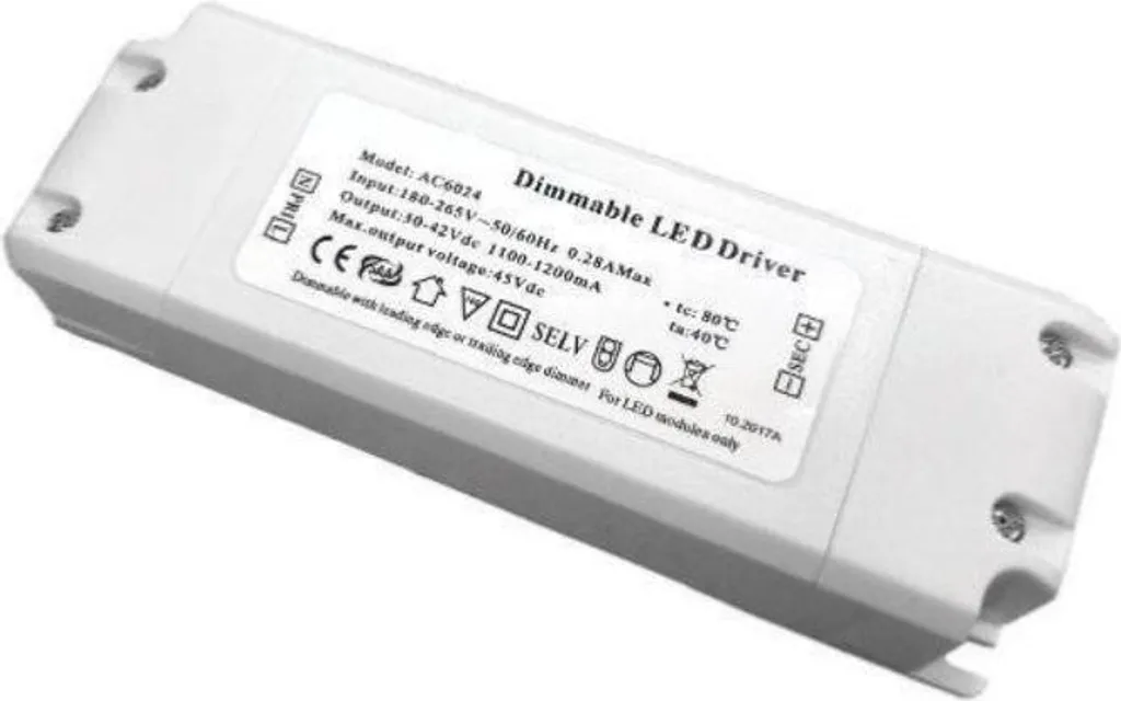 Convertisseur de Tension 48V DC 45W Dimmable avec Sortie 1000mA
