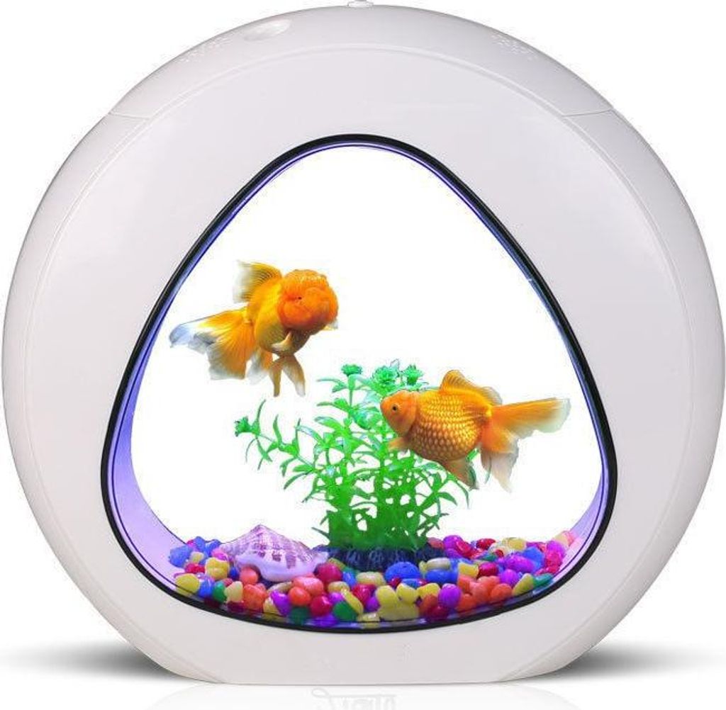 SunSun Smart Aqua 4l - zestaw akwarium białe 4l SunSun Zdjęcie produktu 