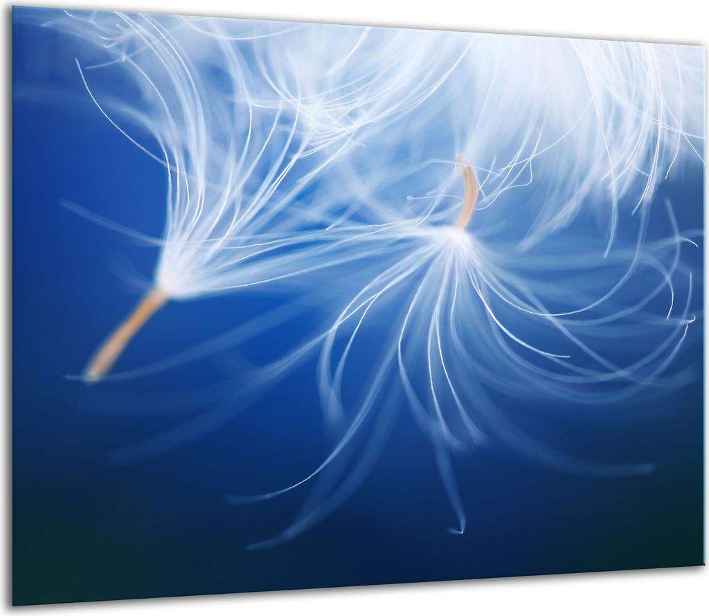 Herdabdeckplatten Glaskeramikkochfeld-Abdeckung Spritzschutz Glas 60x52cm Blume Blau