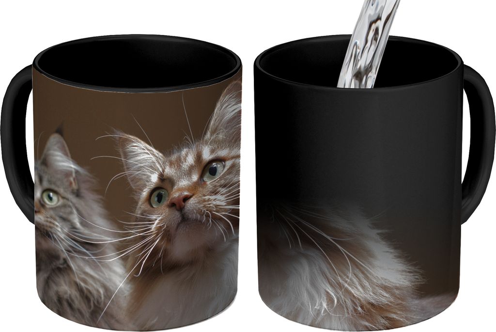 MuchoWow Zauber Tasse Zaubertasse Magic Zwei süße Maine Coon Katzen 350 ml Farbwechsel Becher Geschenk Geschenkidee - Magic-Tasse - Fototasse -...