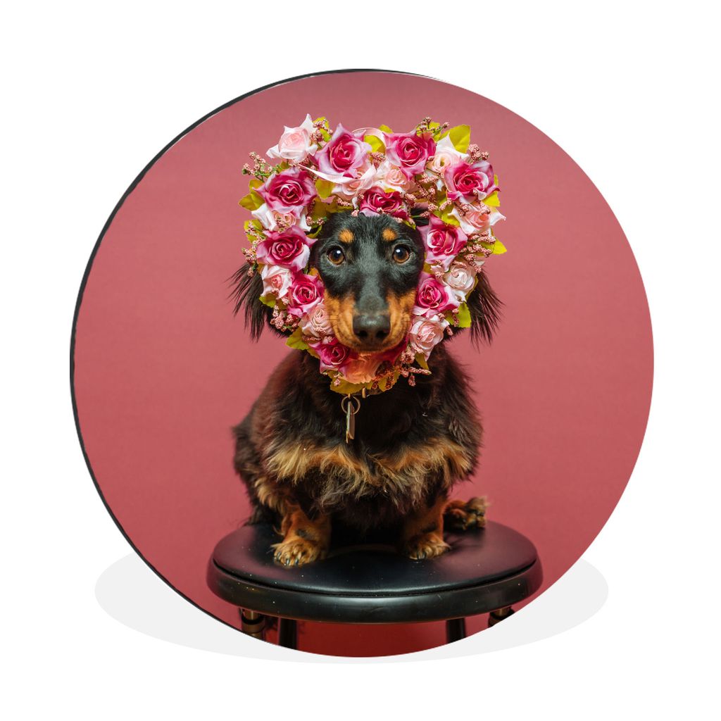 MuchoWow Aluminium Wandkreis Tier - Blumen - Hund Ø 30 cm Wanddeko Modern Wohnzimmer - Wand Bild - Wohnzimmer - Runde Bilder - Alubilder - Kunst...