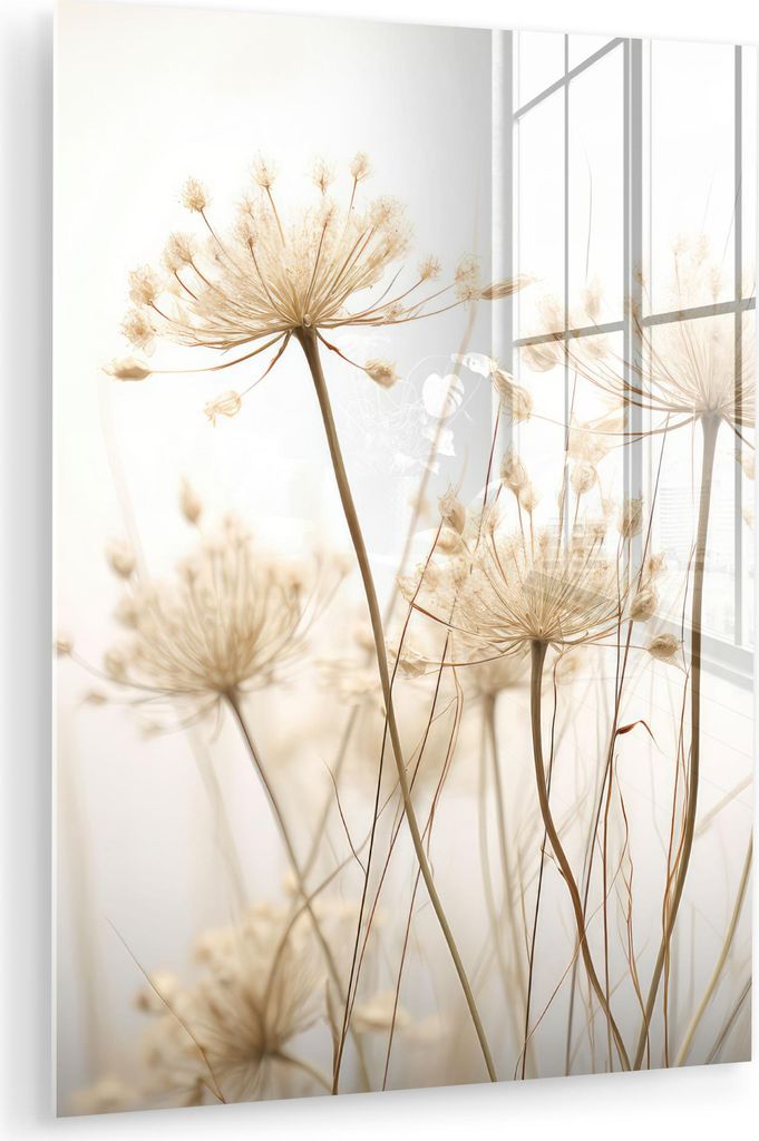 MuchoWow Glasbilder - Bilder auf Wandbild - Foto auf Glas Blumen - Weiß - Sonnenlicht 60x80 cm Wanddekoration aus Glas - Acrylglasbild - Acrylbild...