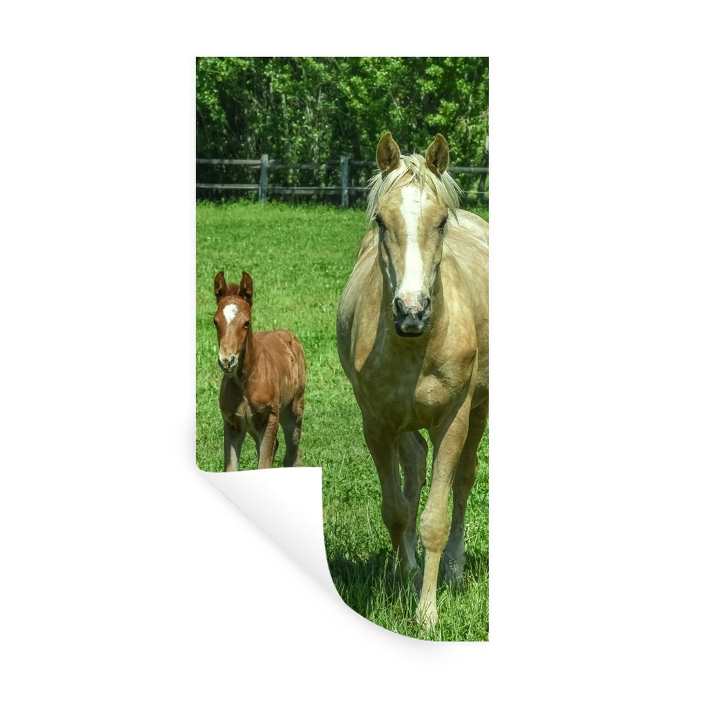 MuchoWow Wandtattoo Wandsticker Wandaufkleber Pferd - Fohlen - Tiere 80x160 cm Selbstklebend und Repositionierbar - Sticker - Dekorfolie