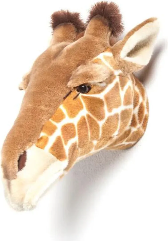 Trophée Girafe Ruby WS 0036 : Déco Murale Sans Encombrement pour Ado - 7