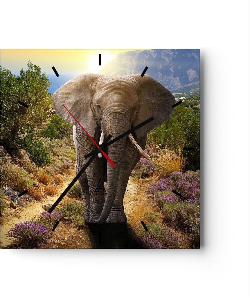 Wanduhr - Quadrat - Glasuhr - Tiere Afrika Elefanten Spaziergang - 30x30cm - Schleichendes Uhrwerk - Lautlos - zum Aufhängen bereit - Dekoration M...
