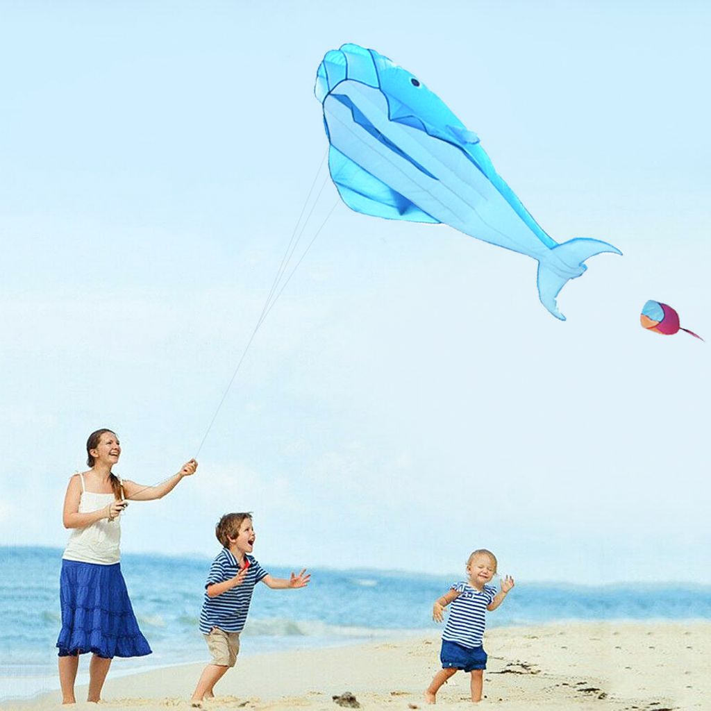 3D Wal Kinder Drachen Rahmenlose Flugdrachen Drachenfliegen Garten Strand W3F5 