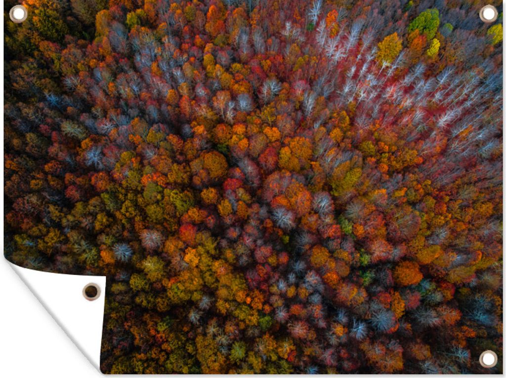 MuchoWow 80x60 cm Outdoor-Poster Gartendeko Sichtschutz Garten Poster für den Garten Eine Luftaufnahme von dunkelbraun gefärbten Baumkronen