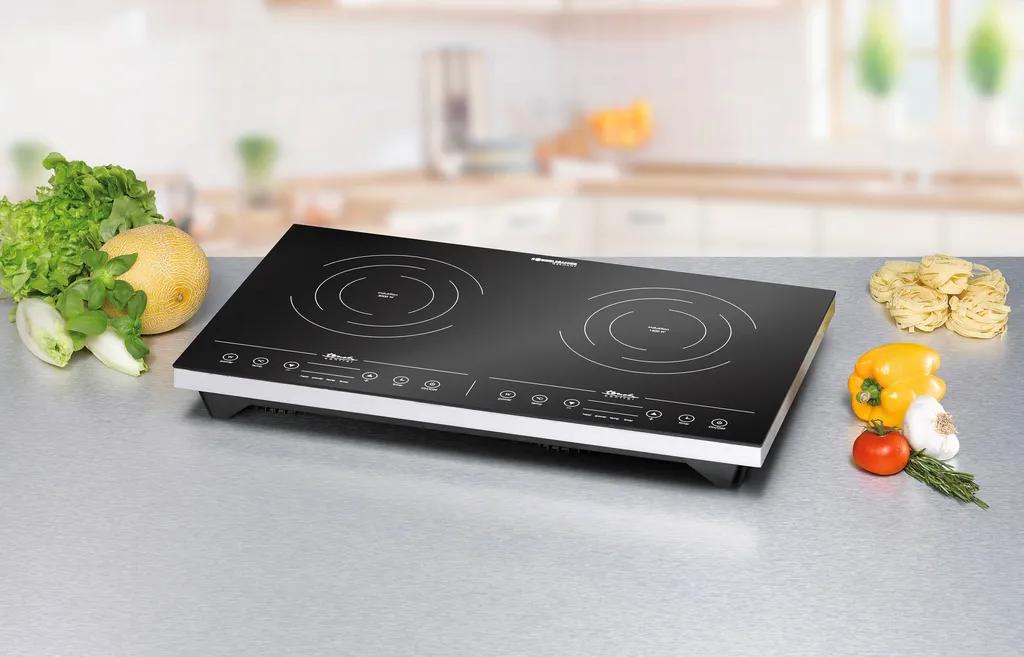 Table de cuisson à induction CT 3410/IN - Plaque portable 2 brûleurs