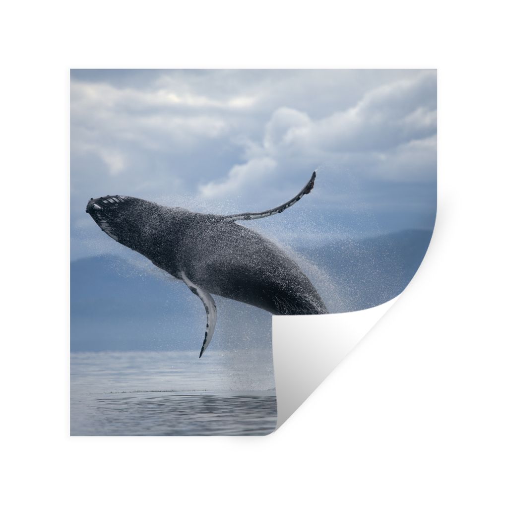 MuchoWow Wandtattoo Wandsticker Wandaufkleber Wal, der aus dem Wasser springt 50x50 cm Selbstklebend und Repositionierbar - Selbstklebend - Fotot...