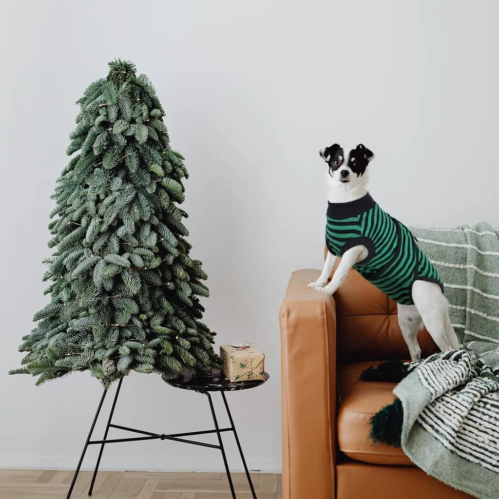 Combinaison de récupération pour chien XXL vert post-stérilisation