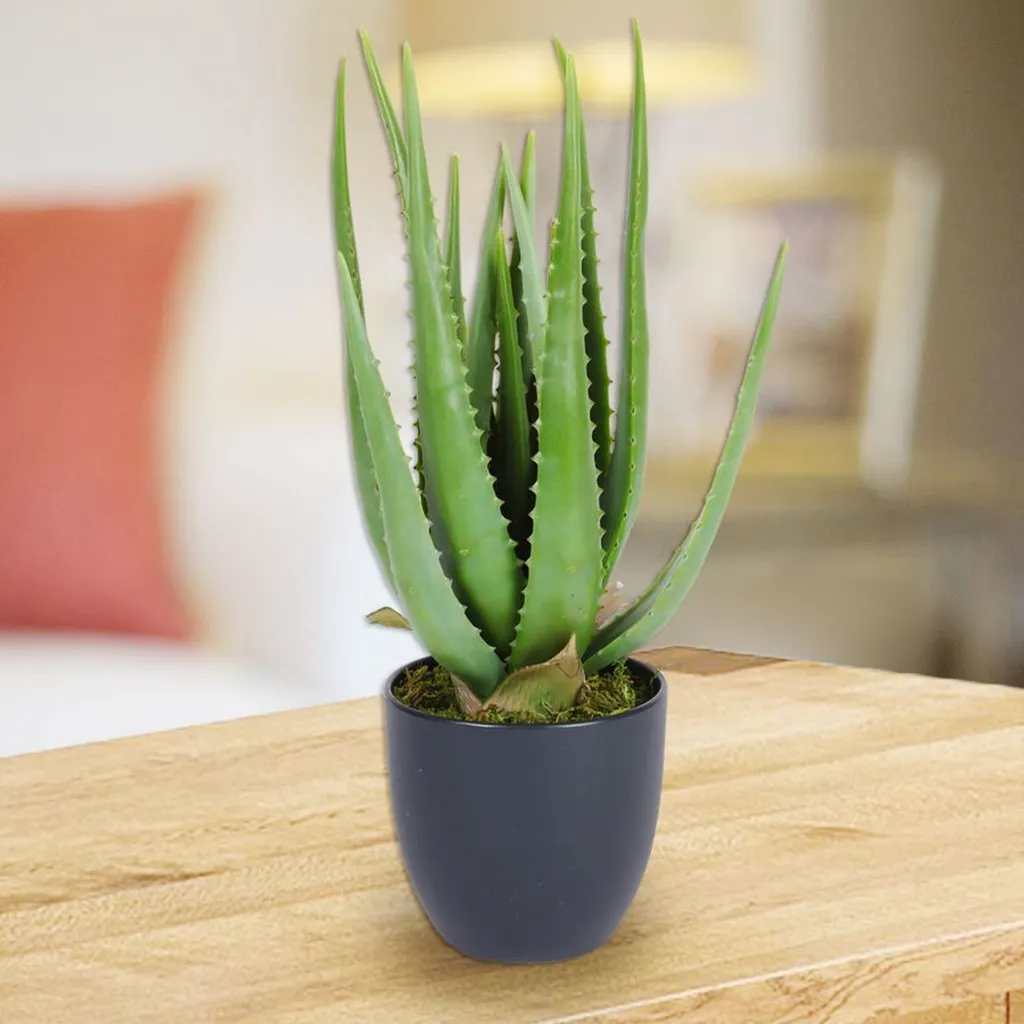 Plante artificielle Aloe Vera en pot 45cm - Décoration végétale intérieur