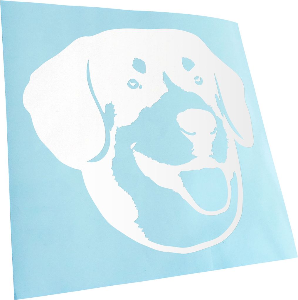 Kiwistar - Autoaufkleber - English bucher mountain dog - Weiss - 30x27cm - Aufkleber für Auto, Laptop, Fahrrad, LKW, Motorrad mehrfarbig JDM Decal...