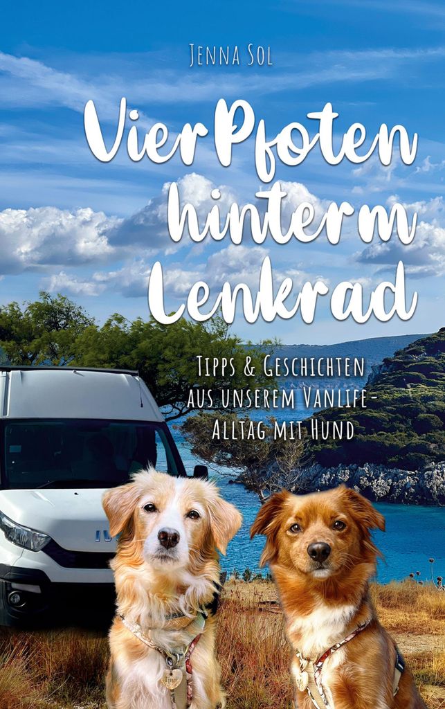 Vier Pfoten hinterm Lenkrad