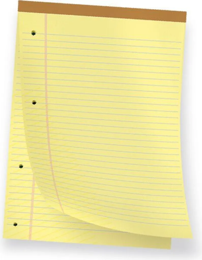 Carnet A4 pour prise de notes en réunion Pigna Jaune 50 feuilles - 2