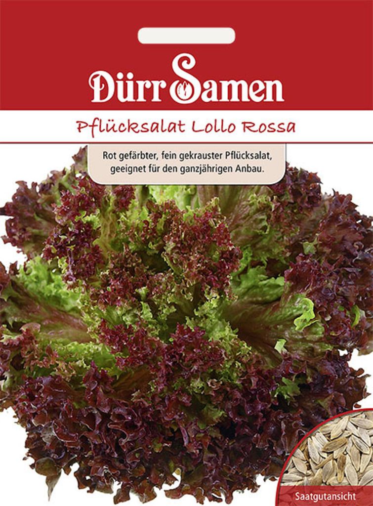 Dürr-Samen - Pflücksalat Lollo Rossa - Saatgut - 1837 Produktbild 