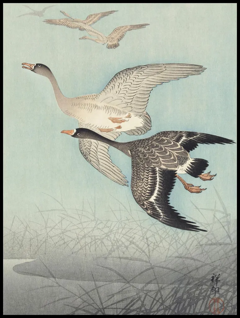 Déco Salon Affiche 75 x 100 cm Grandes oies en vol et Grue Japonaise
