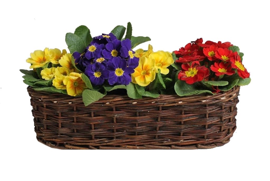 Proutěný truhlík Antonio 50 cm Obrázek produktu 