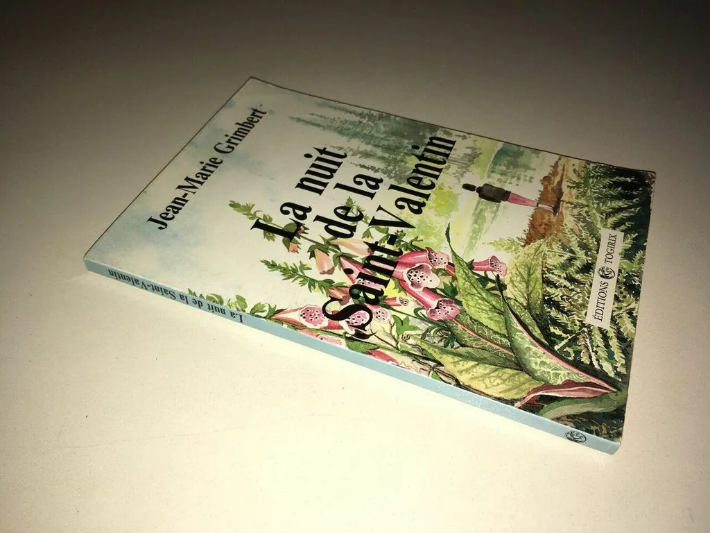Livre Jean Marie Grimbert LA NUIT DE LA SAINT VALENTIN Togirix INDICES