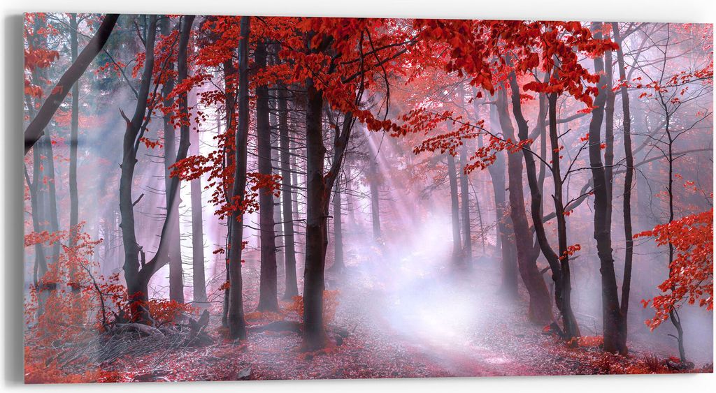 DEQORI Glasbild Echtglas 60x30 cm 'Roter Blätterwald' Wandbild Bild modern Deko