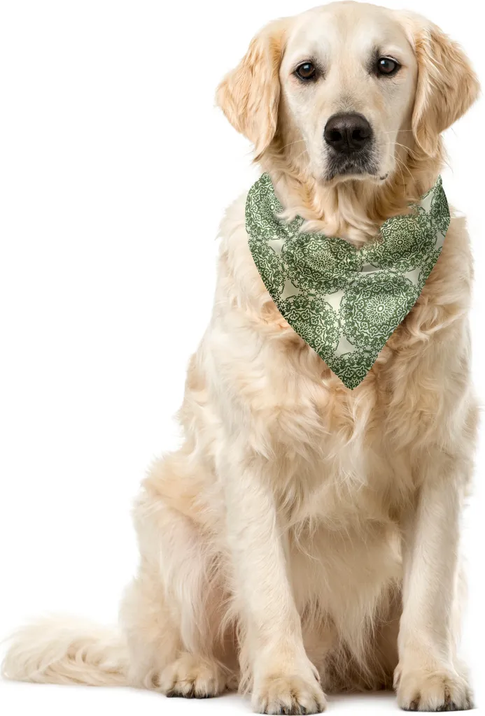 Foulard Cane Floreale ABAKUHAUS 40cm Verde Oliva Design Moderno