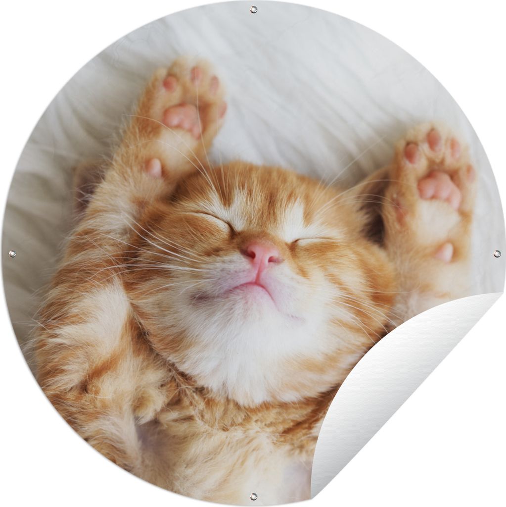 MuchoWow Gartenposter Outdoor-Poster Rund Katze - Rot - Haustiere - Kätzchen Ø 150 cm Gartendeko Rundes Poster draußen