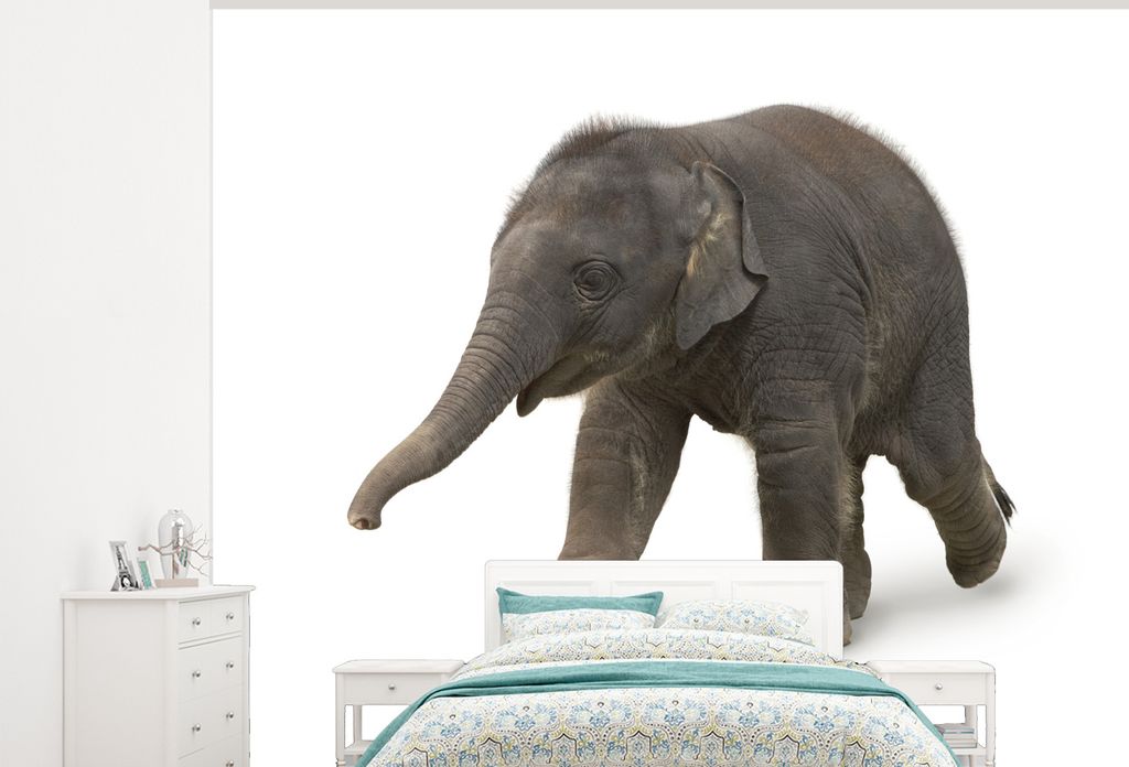 MuchoWow Fototapete für Wohnzimmer oder Schlafzimmer Wandtapete Vinyl Motivtapete Kleiner Elefant auf weißem Hintergrund - 300x240 cm - Fototap...