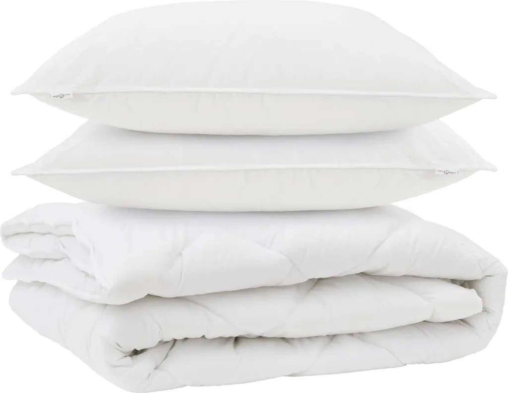 OFFERTA Set vidaXL Piumino + 2 Cuscini | Qualità Microfibra a Prezzo Shock